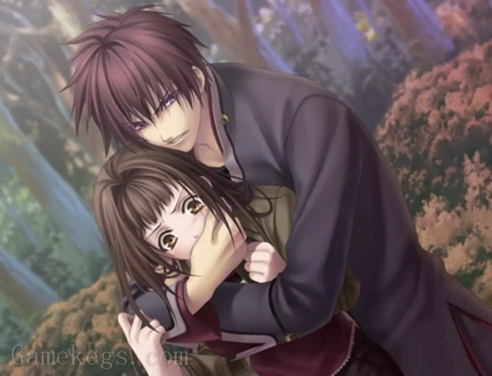 绯色的碎片：携带版.Hiiro no Kakera Portable