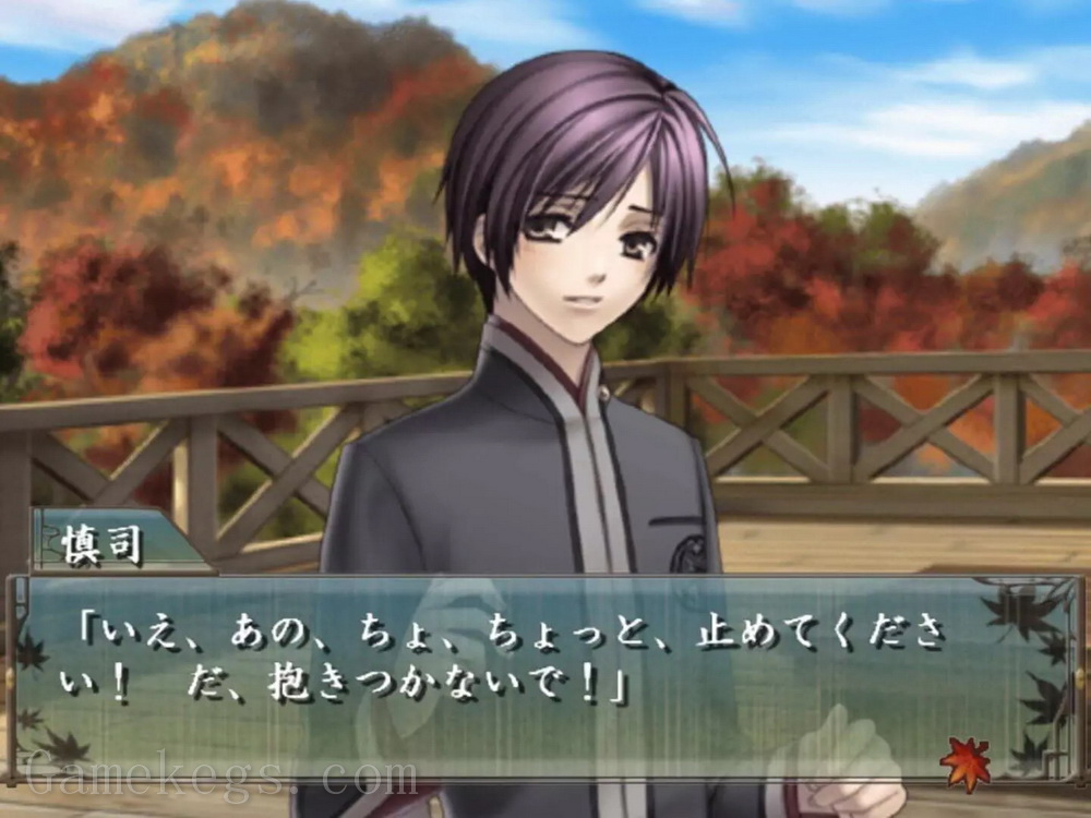 绯色的碎片：携带版.Hiiro no Kakera Portable