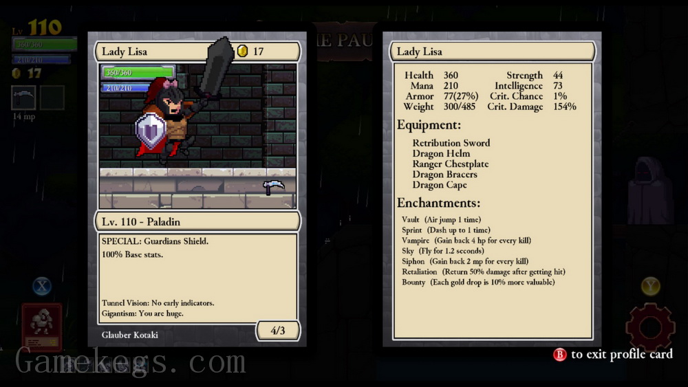 盗贼遗产. Rogue Legacy