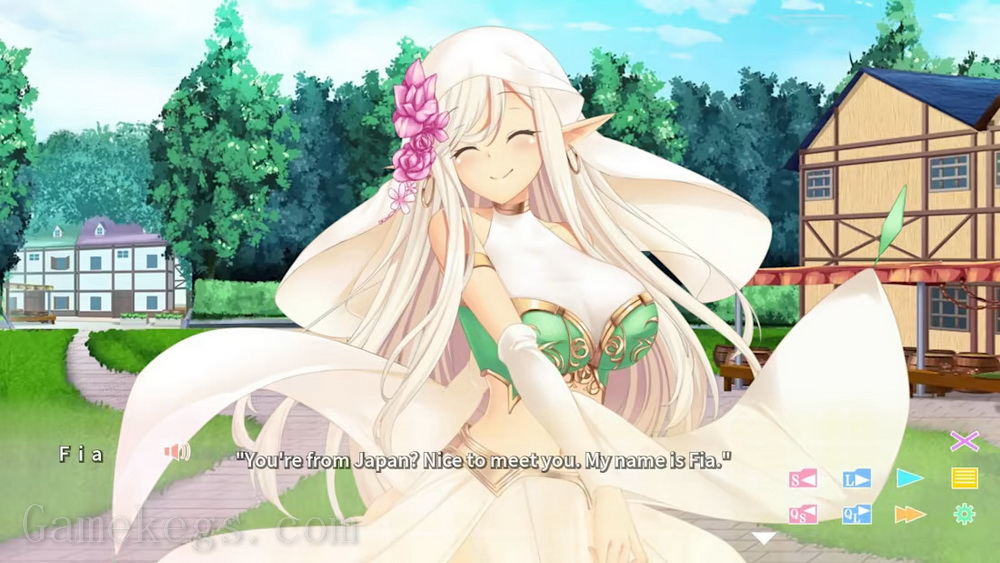 与异世界的少女结婚.Isekai Musume to Konkatsuchuu: Isekai Bride Hunting