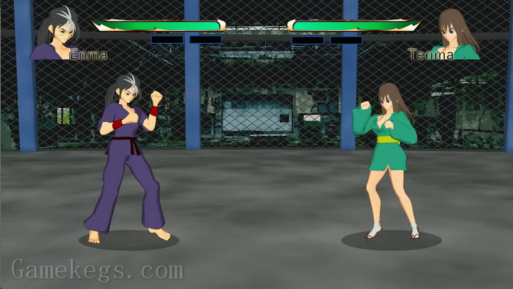 像素游戏制作大师系列：王国斗士R.Pixel Game Maker Series KINGDOM FIGHTER