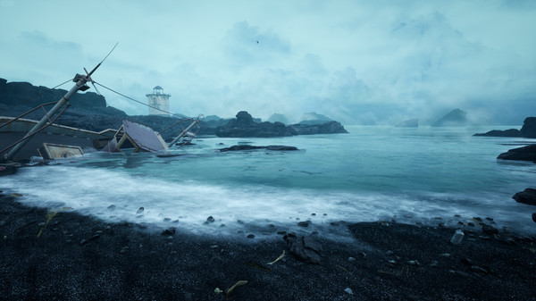 海岸.The Shore