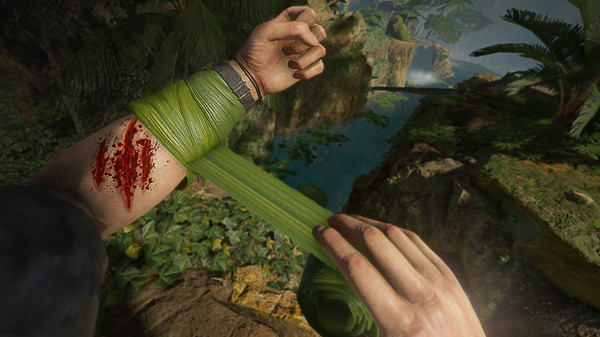 绿色地狱VR.Green Hell VR