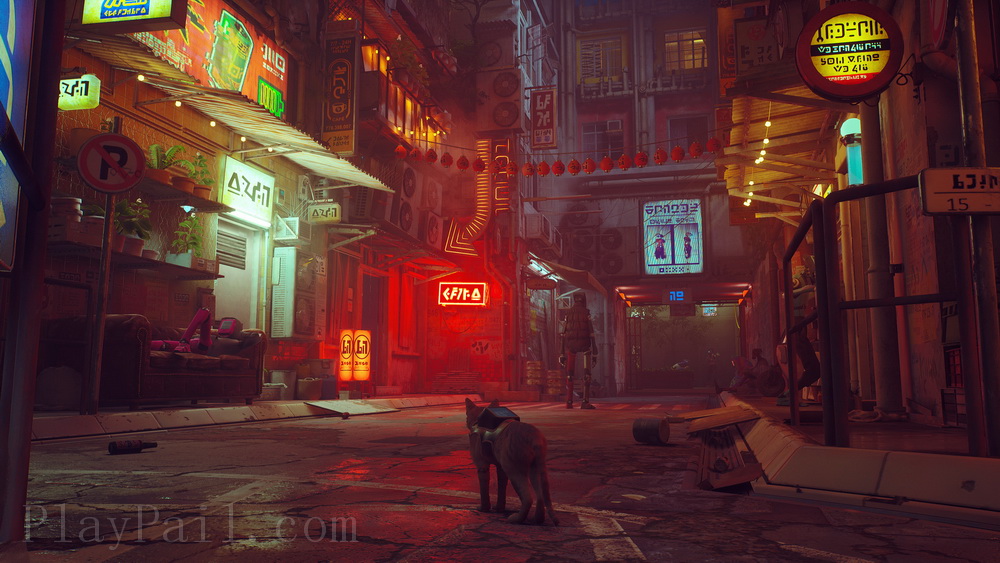 流浪猫.Stray