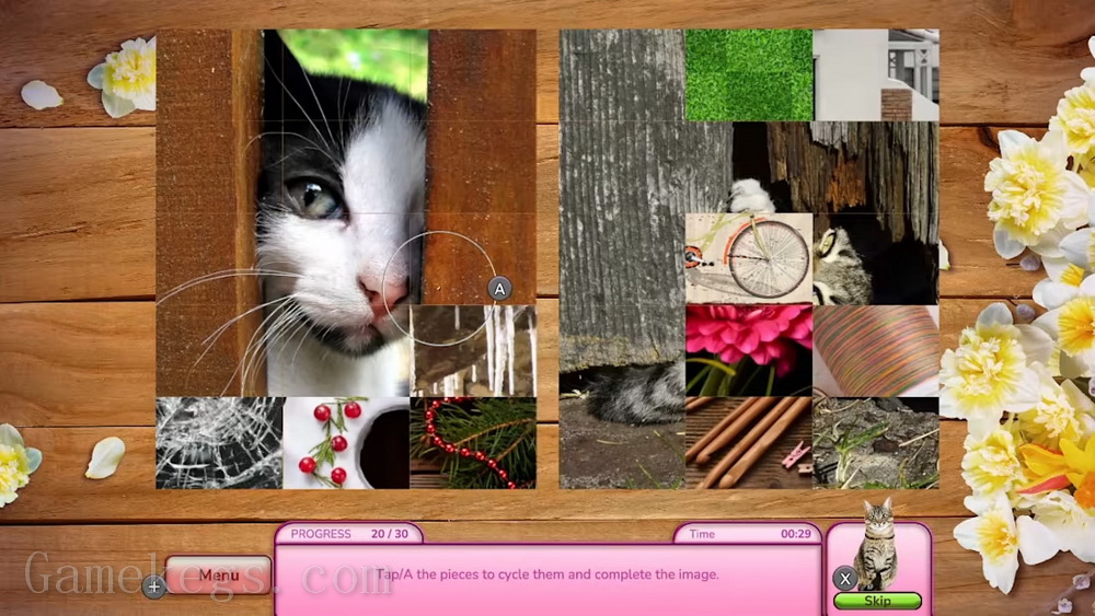 我爱找猫！：收藏版.I Love Finding More Cats!: Collector’s Edition