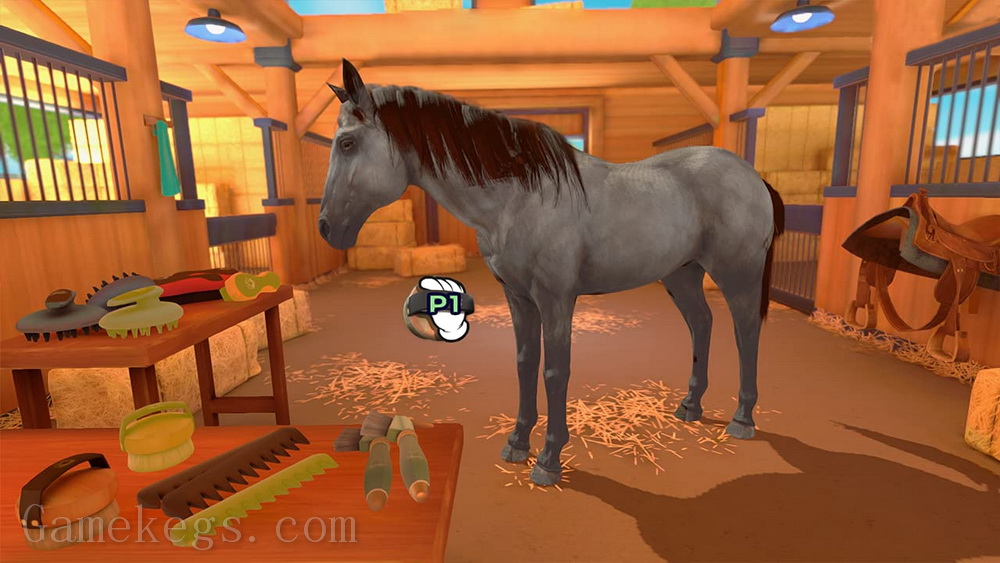 马术训练.Dein Erstes Pferd：Die Reitschule
