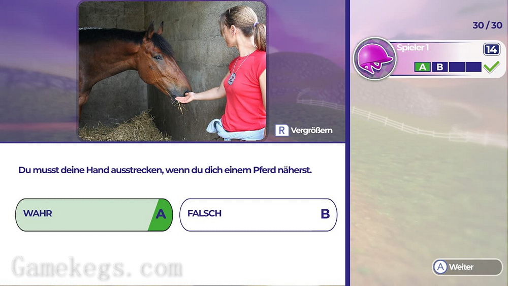 马术训练.Dein Erstes Pferd：Die Reitschule