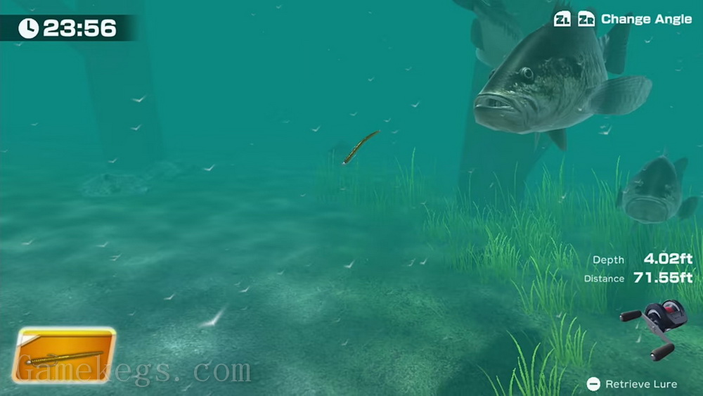 钓鲈鱼.THE Bass Fishing