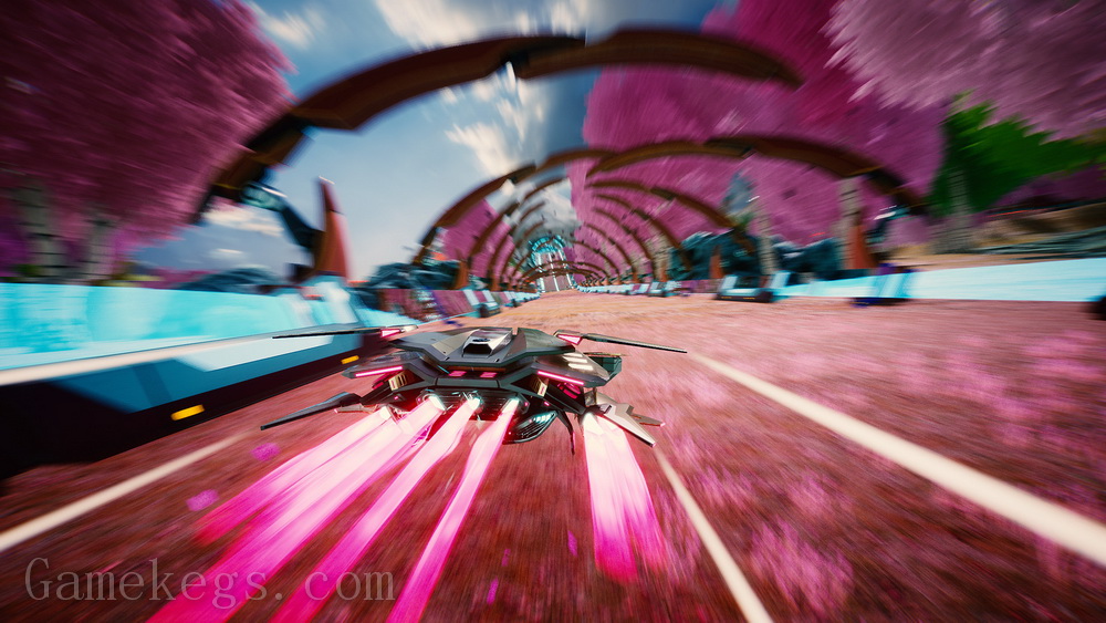 红视2.Redout 2