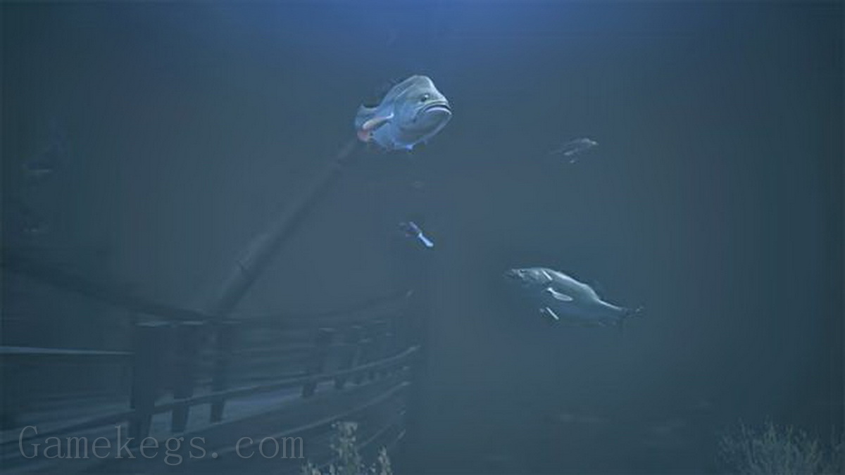 鲈鱼大师赛2022：超级豪华版.Bassmaster Fishing 2022: Super Deluxe Edition