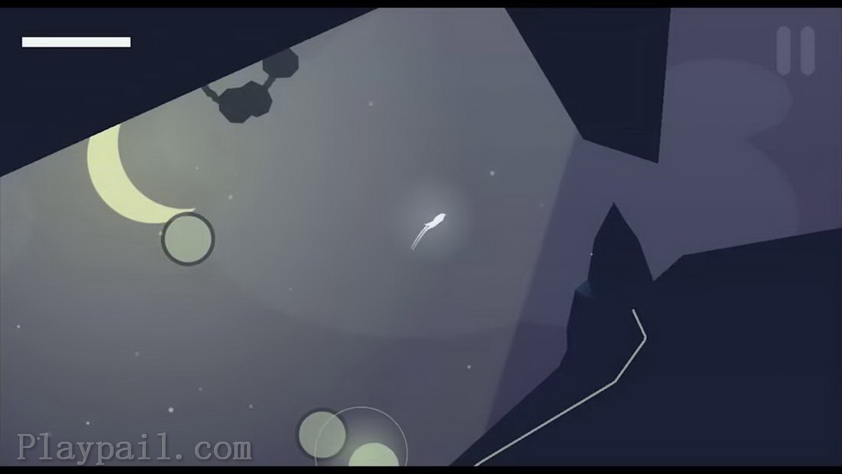 米拉：一只鸟的飞行.Mira: A Bird’s Flight