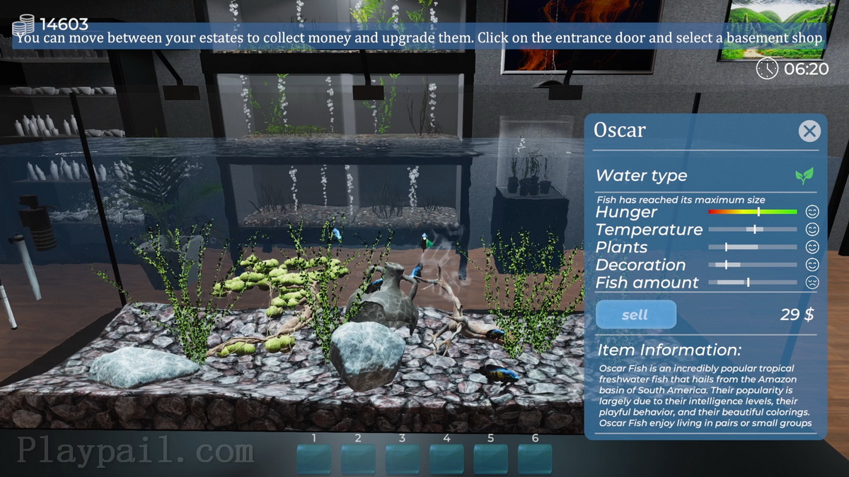 Aquarist – 建造水族馆，养鱼，发展你的事业！.Aquarist