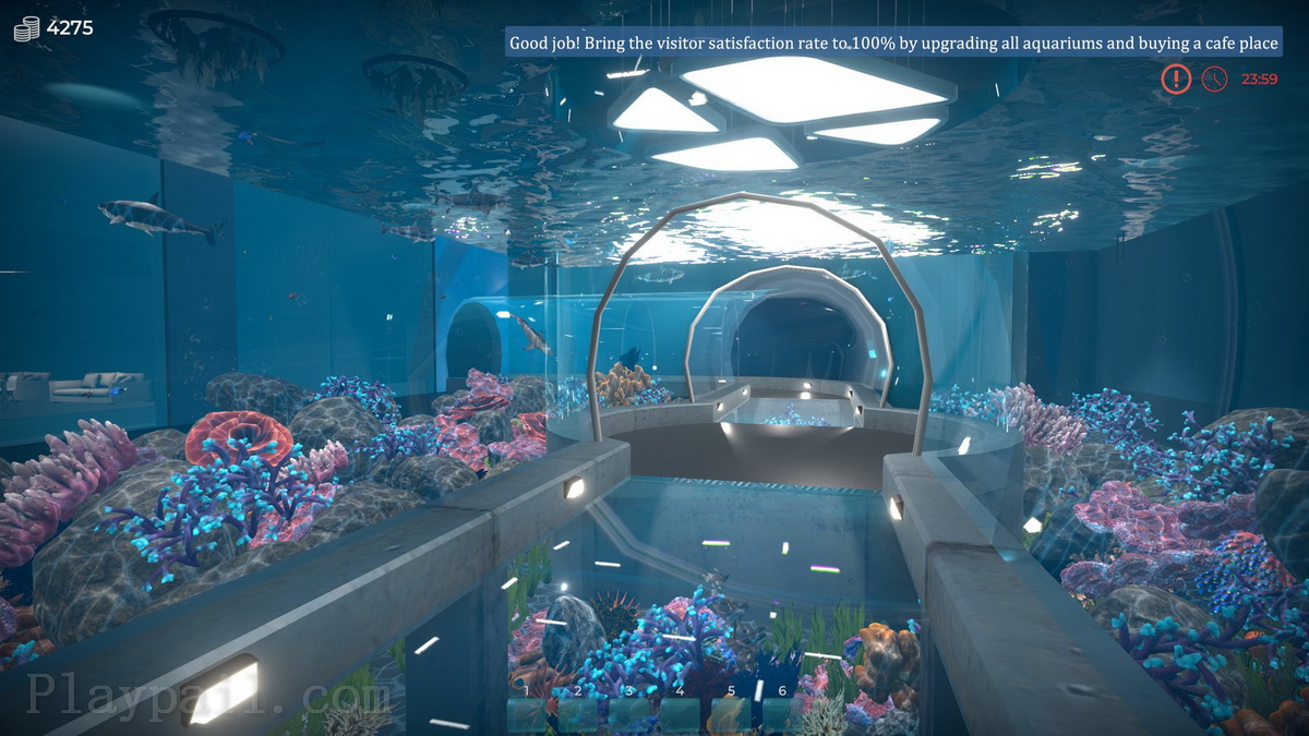 Aquarist – 建造水族馆，养鱼，发展你的事业！.Aquarist