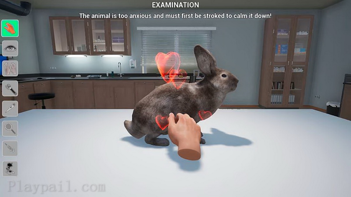 我的生活：宠物兽医.My Life: Pet Vet