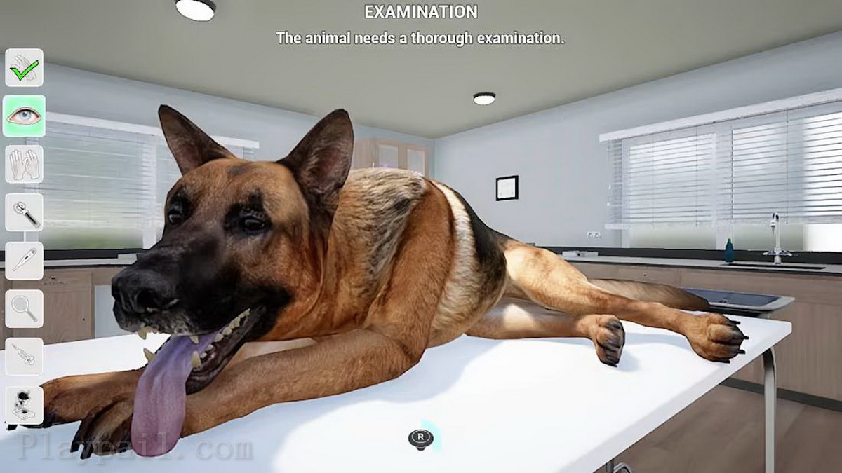 我的生活：宠物兽医.My Life: Pet Vet