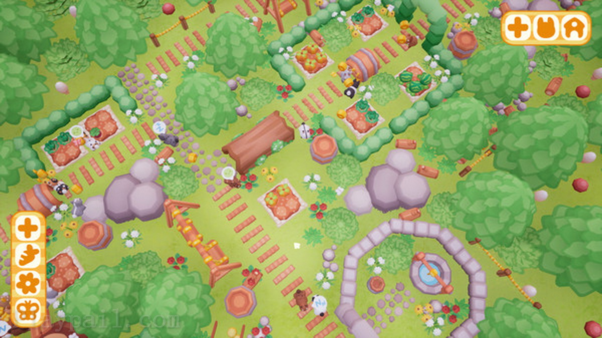 兔子公园.Bunny Park