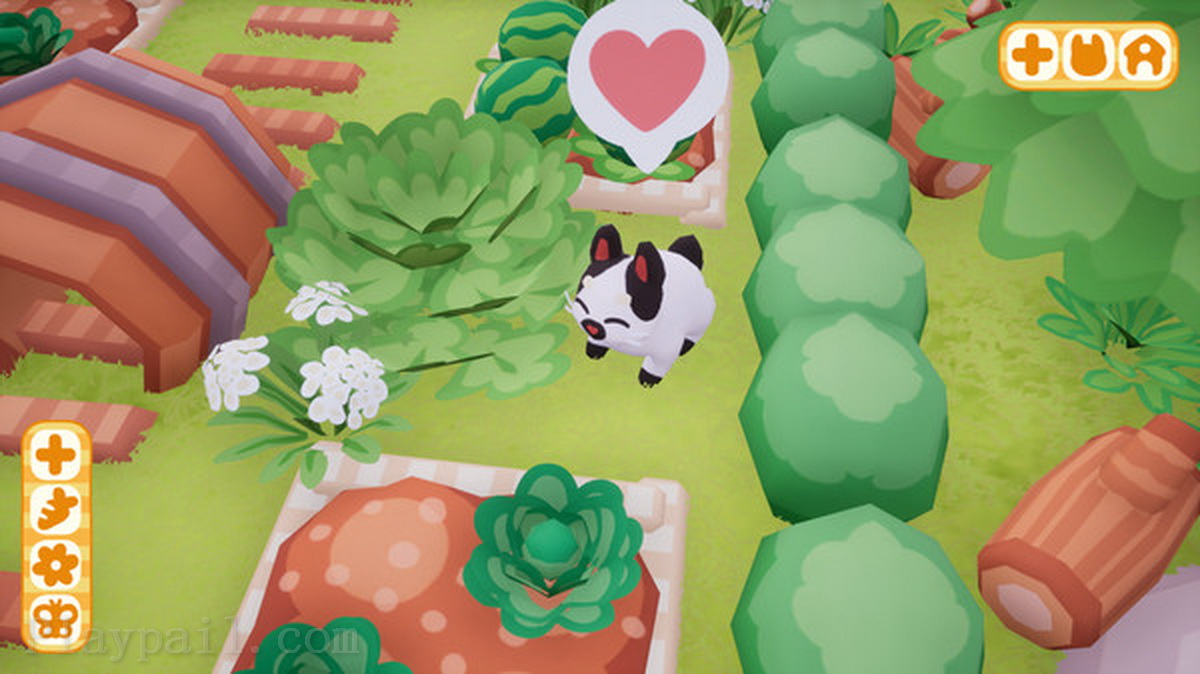 兔子公园.Bunny Park
