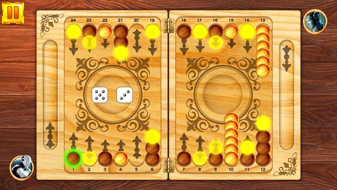 双陆棋：桌面益智游戏.Backgammon: Board Game Puzzle