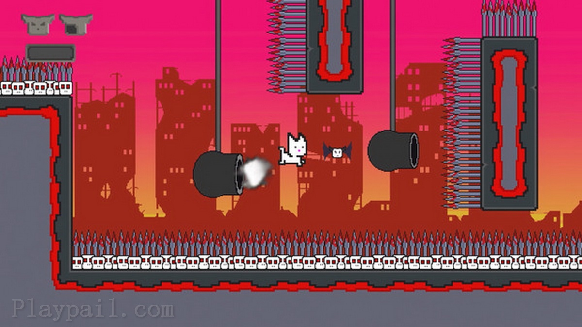 字节猫.Byte Cats