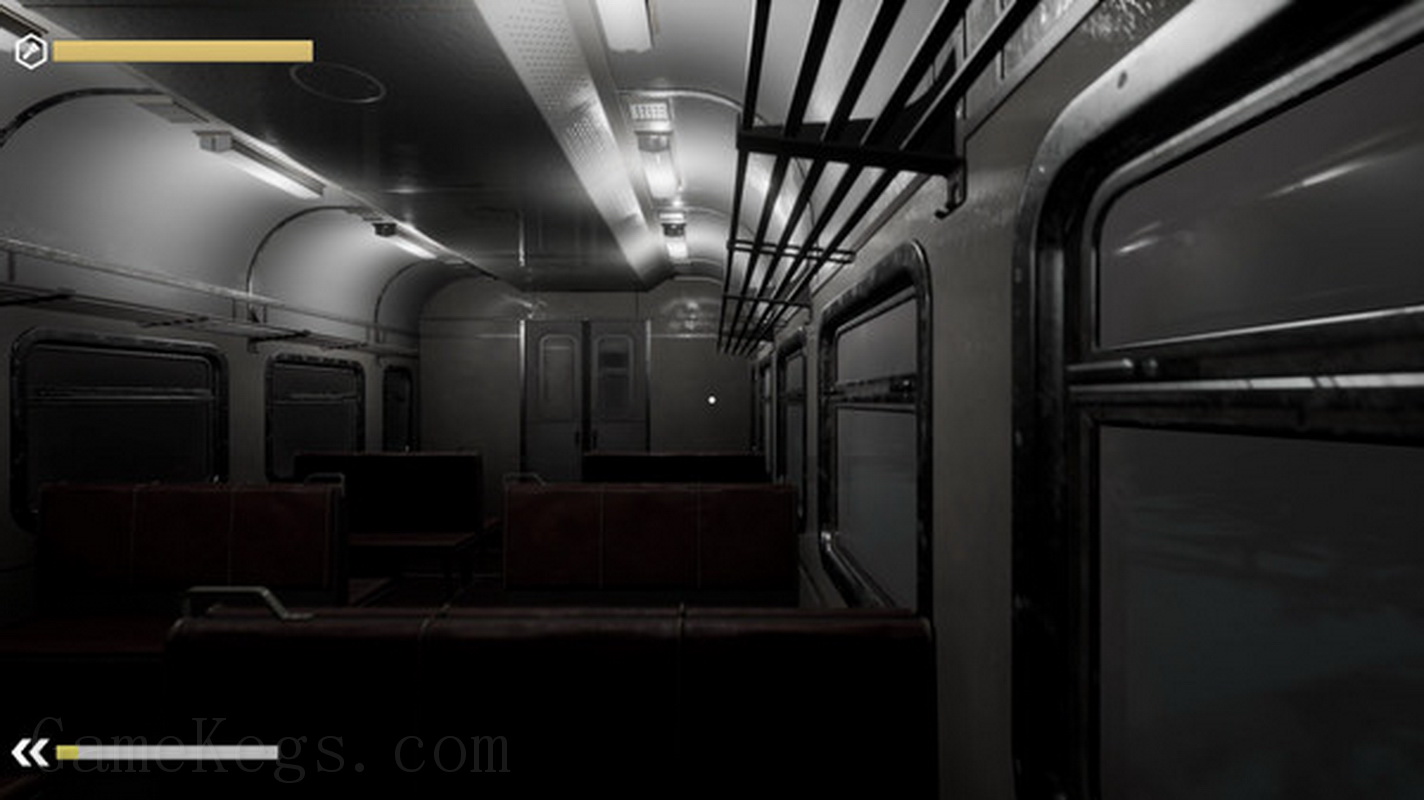 Wrong Train