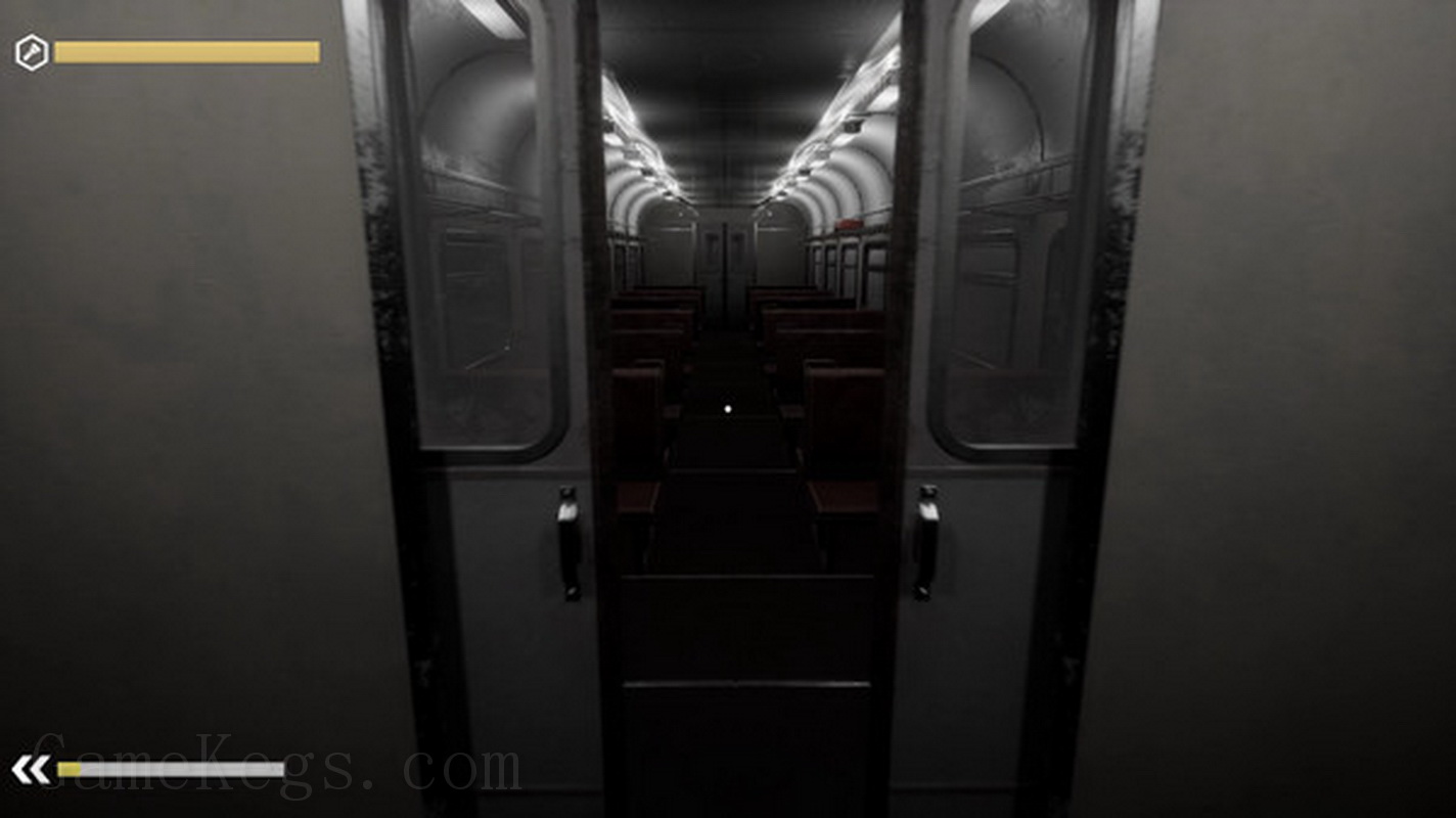 Wrong Train