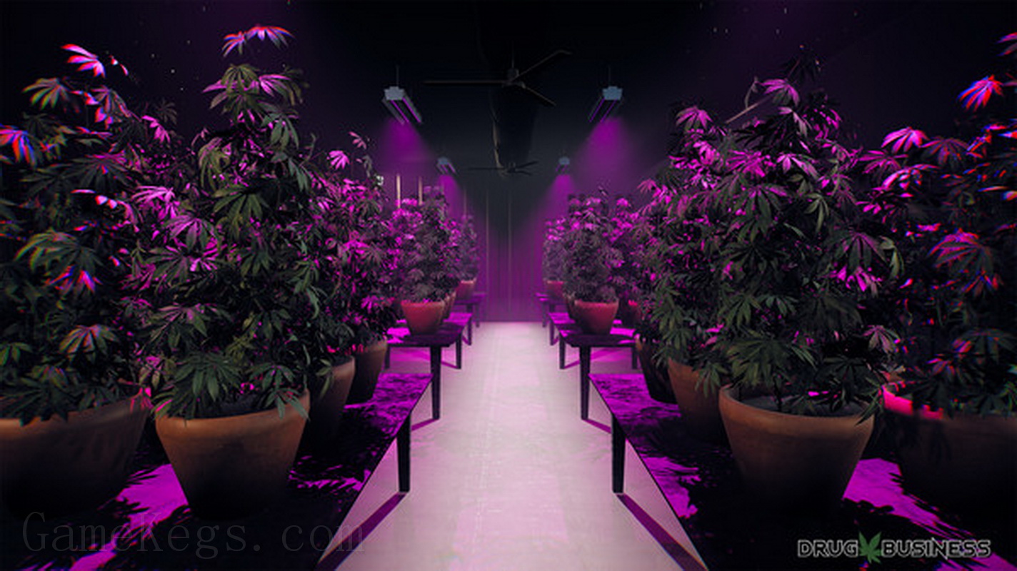 Drug Business