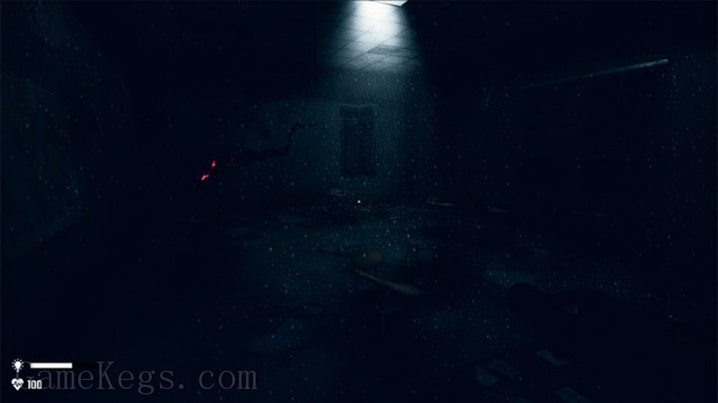 精神病院：邪恶之子.Mental Hospital: Child of Evil