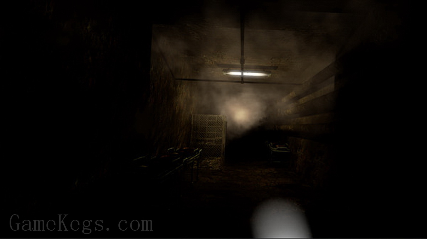 精神病院：邪恶之子.Mental Hospital: Child of Evil
