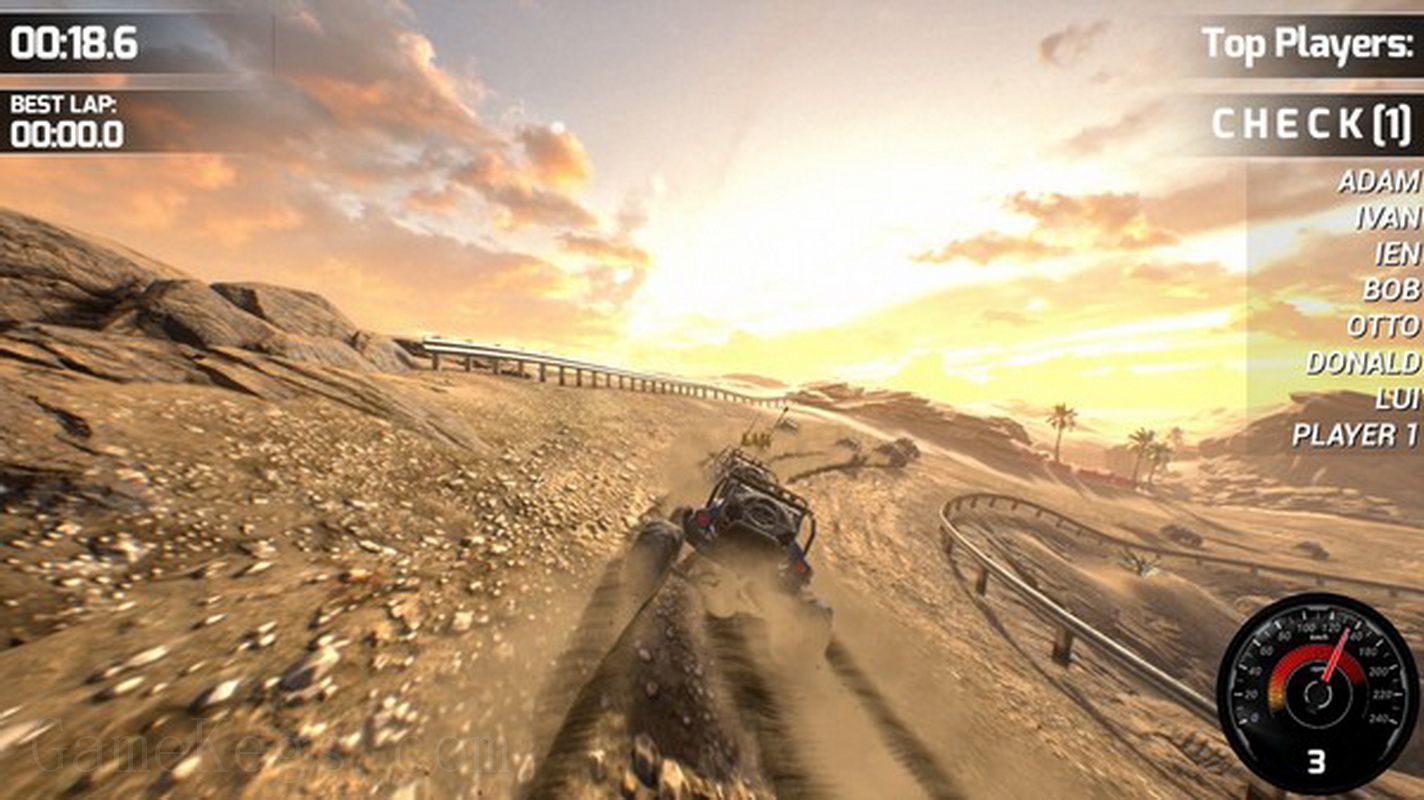 Race Beauty Bugs