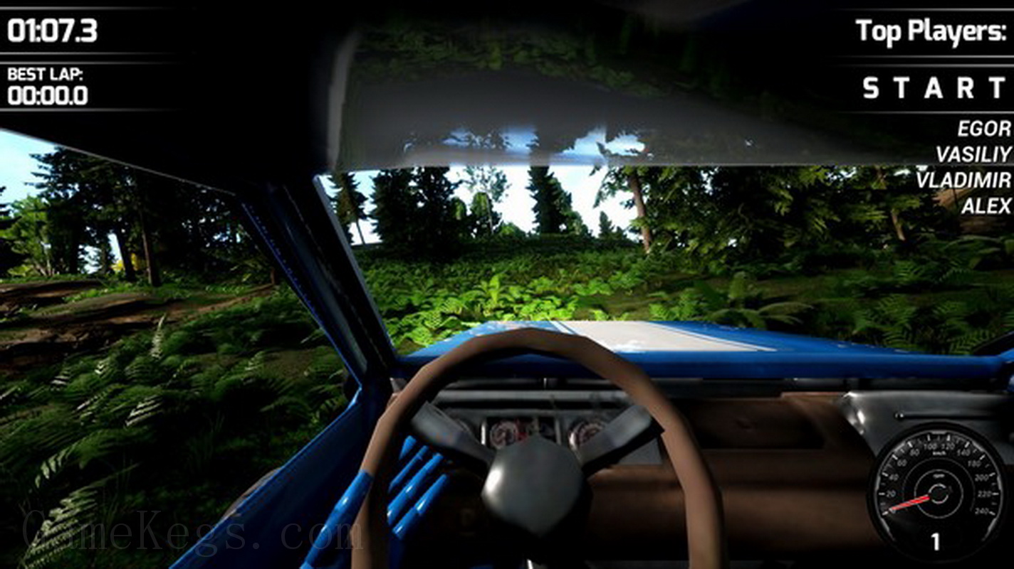 Race Beauty Bugs