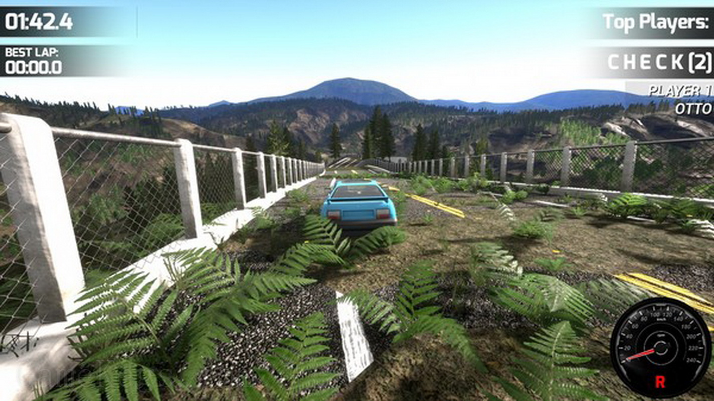 Race Beauty Bugs