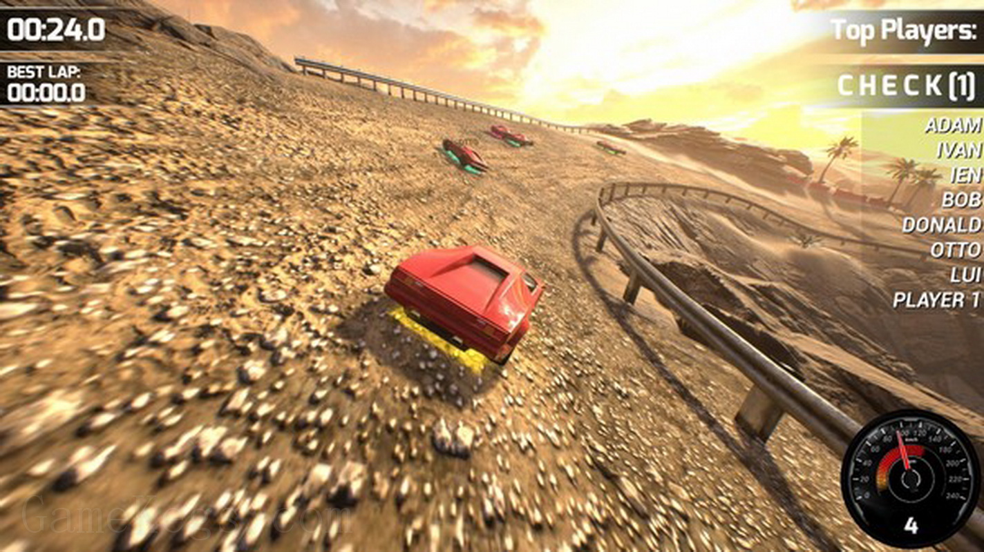 Race Beauty Bugs