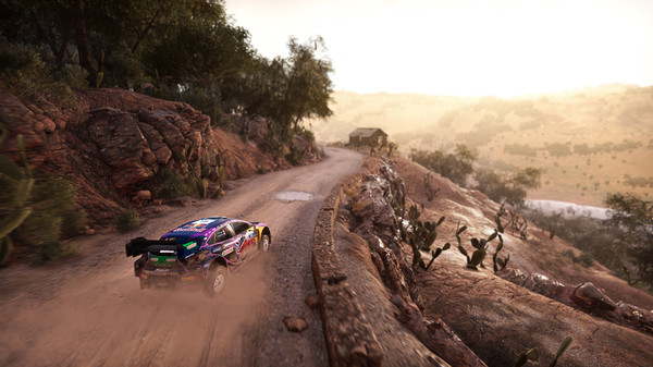 FIA 世界汽车拉力锦标赛：新世代.WRC Generations