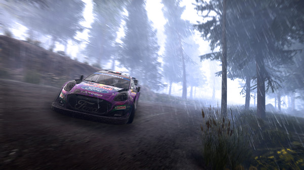 FIA 世界汽车拉力锦标赛：新世代.WRC Generations