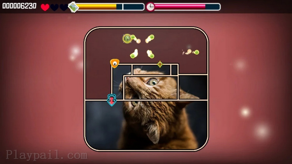 动物拼图：猫.Animal Puzzle Cats