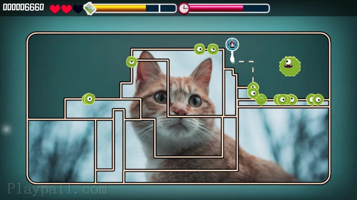 动物拼图：猫.Animal Puzzle Cats
