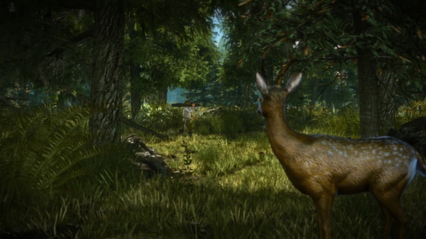巫师2：国王刺客 – 加强版.The Witcher 2: Assassins of Kings Enhanced Edition