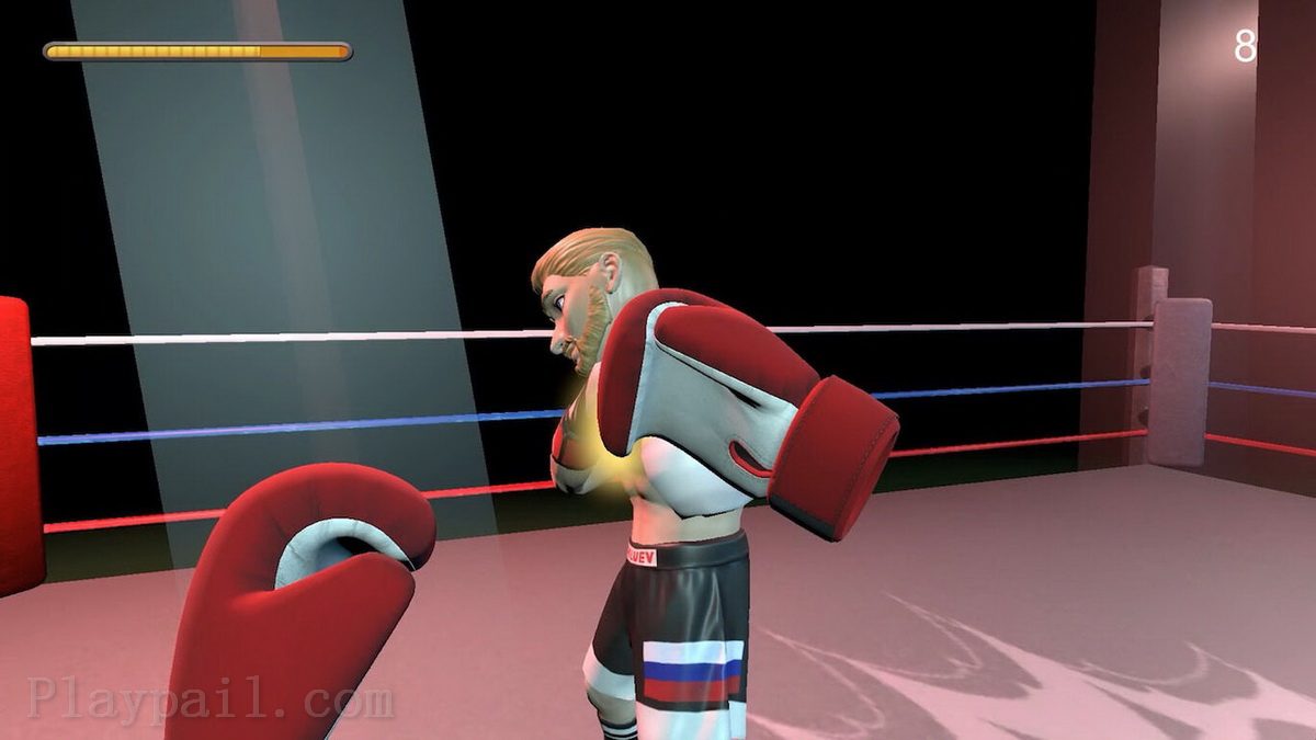 拳击手.Boxer