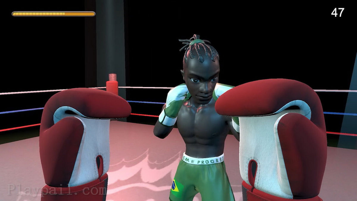 拳击手.Boxer