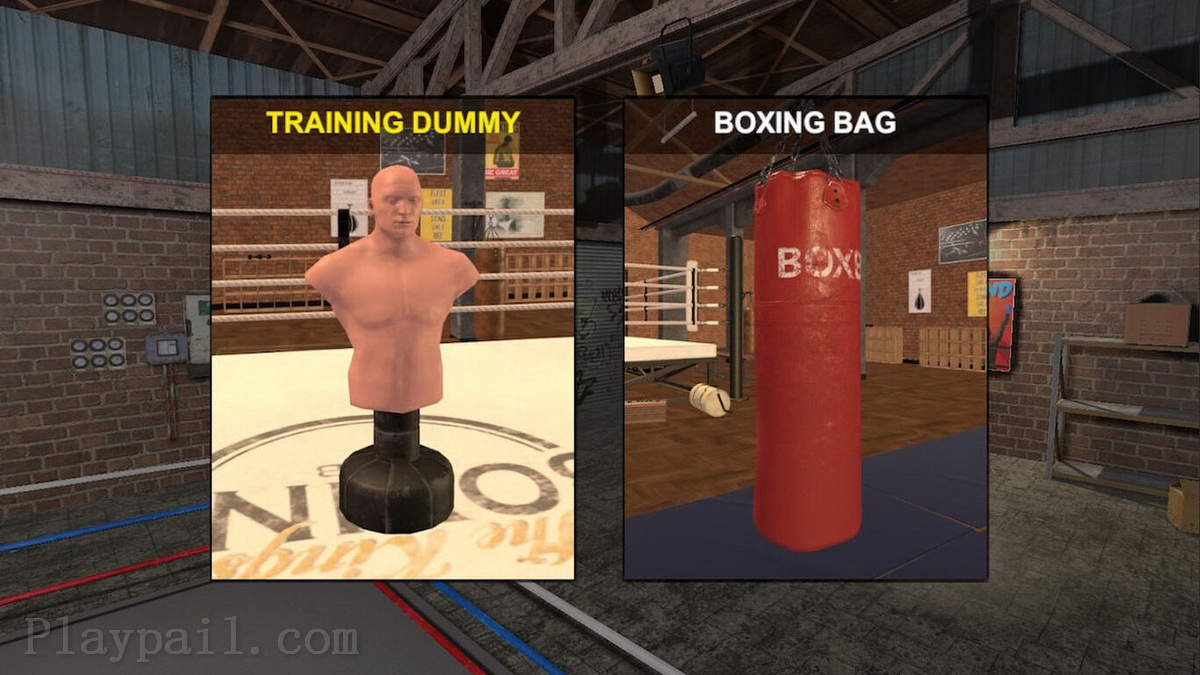 拳击手.Boxer
