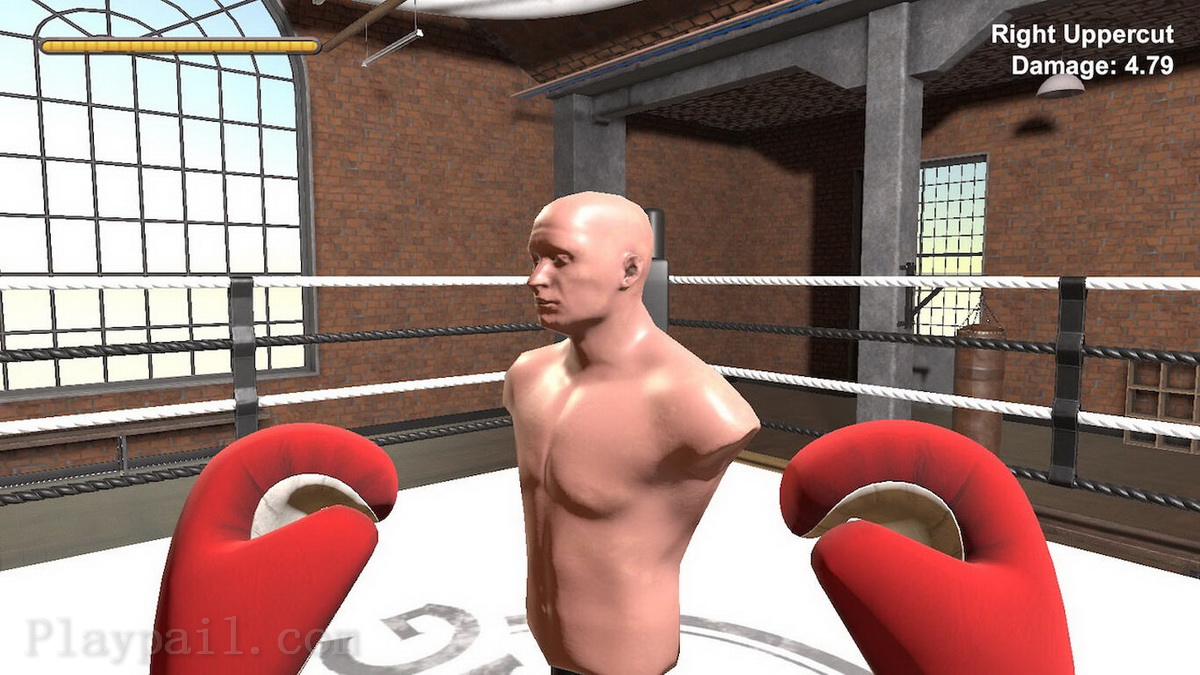 拳击手.Boxer