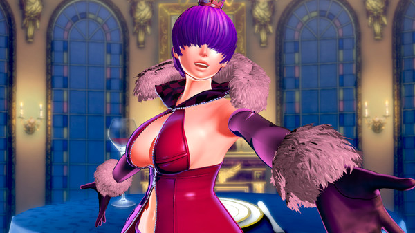 SNK女主大乱斗：豪华版.SNK HEROINES Tag Team Frenzy DELUXE