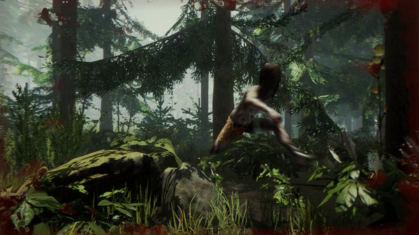森林.The Forest