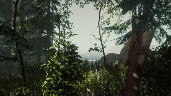 森林.The Forest