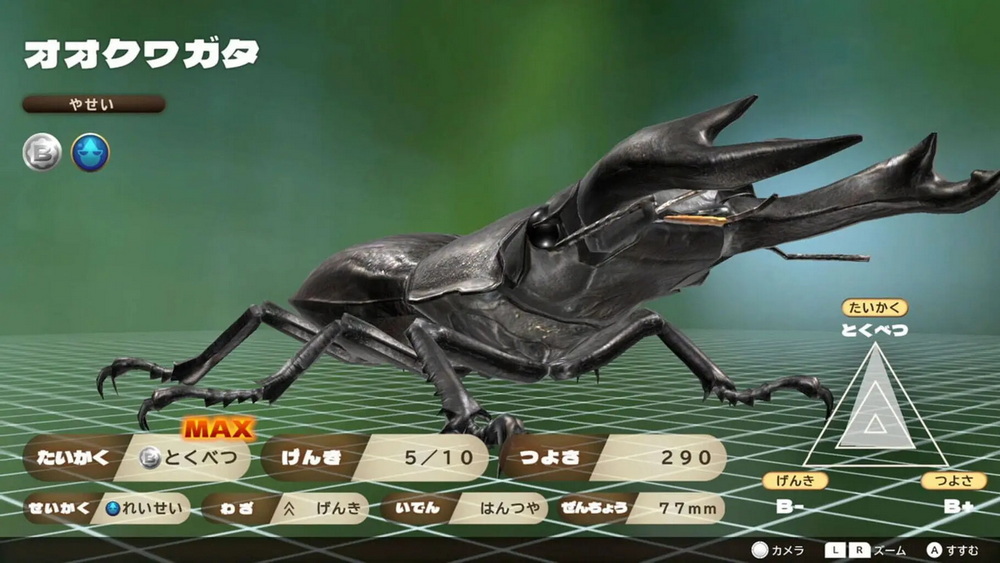 Kabuto Kuwagata