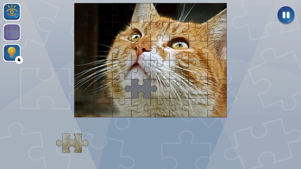 狂热拼图.Jigsaw Puzzle Fever