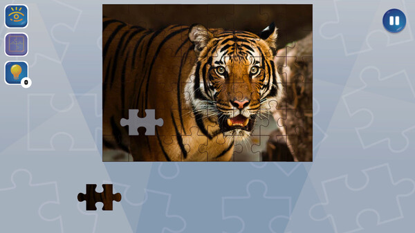 狂热拼图.Jigsaw Puzzle Fever