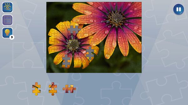 狂热拼图.Jigsaw Puzzle Fever