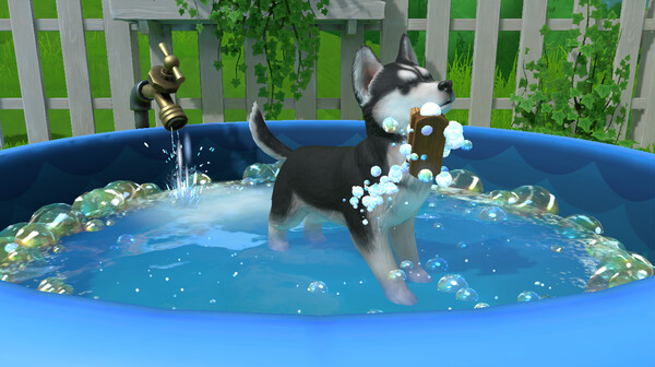 小小伙伴：汪星岛.Little Friends: Puppy Island