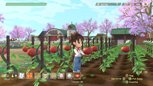 牧场物语 Welcome！美丽人生.Story of Seasons: A Wonderful Life
